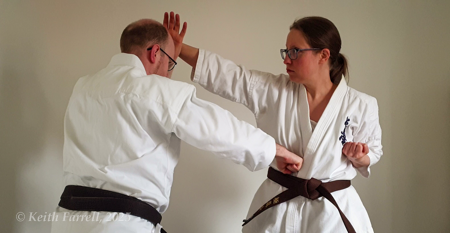 Blocking, punching, kicking?